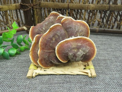 赤灵芝 500g包邮整枝灵芝切片多年野灵芝 带柄赤芝无虫蛀图5