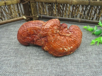 红灵芝 500g包邮长白山赤灵芝深山灵芝片泡酒料图2