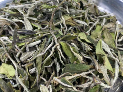 2022春茶牡丹王散茶 福鼎白茶饼高山日晒白牡丹散装500g散装批发图3