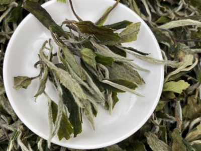 2022春茶牡丹王散茶 福鼎白茶饼高山日晒白牡丹散装500g散装批发图2