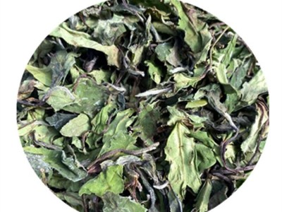 2022年春茶新茶福鼎白茶磻溪高山日晒寿眉贡眉散茶茶叶源产地批发图4