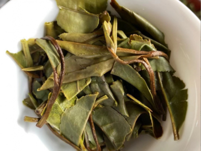2022年春茶新茶福鼎白茶磻溪高山日晒寿眉贡眉散茶茶叶源产地批发图3