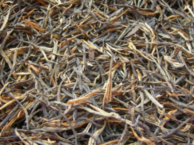 2022年云南红茶 松针滇红凤庆红茶散茶 经典58 一芽一叶 茶叶批发图2