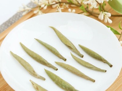 2022年福鼎银针白茶500g散装毫香米粒芽 白毫银针茶叶厂家定Z批发图2