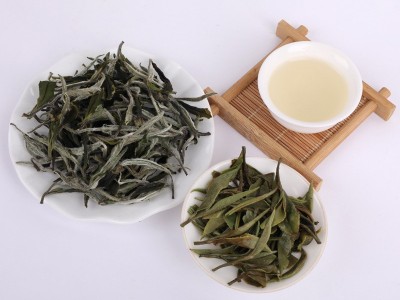 2020福建福鼎白茶白牡丹新茶手工日晒散装工厂批发白毫银针茶饼等图4