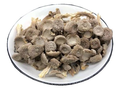 食用菌鹿茸菇250g菌菇干货云南鹿茸菇农产品散装批发一件代发图4