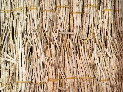 药材沙参批发玉竹药材500g批发煲汤北沙参条去头沙参煲汤材料图3