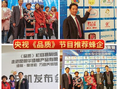源头工厂云南边境野蜂米团花 黑蜂蜜高原特产黑蜜原蜜黑 蜂中蜂图2
