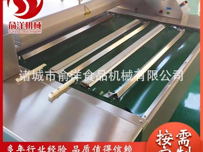 大型自动真空包装机 连续滚动真空包装机 全自动食品真空包装机图5