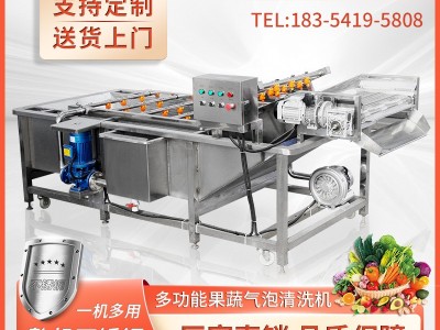 果蔬气泡清洗机风干机沃柑脐橙橘子洗果机商用预制菜洗包装袋污渍图2