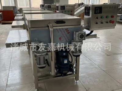 粽叶清洗机 芭蕉叶荷叶清洗设备 粽子加工设备图4
