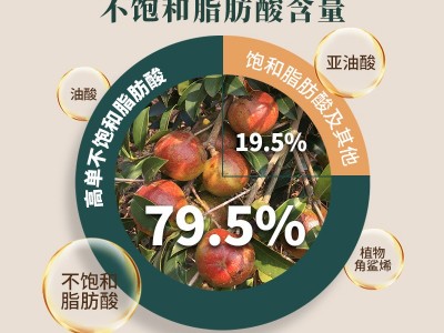 厂家直供有机高纯山茶油2L 端午送礼茶油 压榨茶油 食用油 批发图3