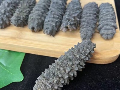 海参螺纹参25头干货深海刺参 带刺淡干 即食海参厂家批发 招代理图5