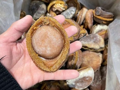 【圣泓明】批发南非鲍鱼淡干干货图3