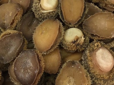 50头鲍鱼干500克 一德路海味干货海鲜海产品干货淡晒批发图3