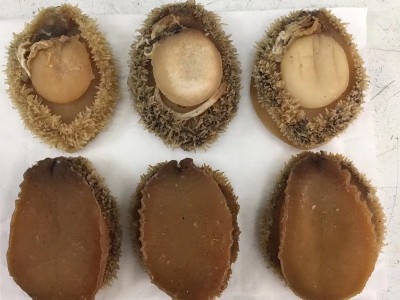50头鲍鱼干500克 一德路海味干货海鲜海产品干货淡晒批发图5