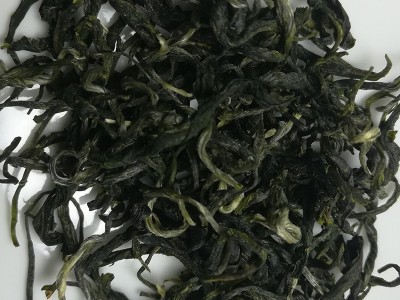 2023新春茶毛尖绿茶 原产地批发茶叶实体店供应早春茶青图3