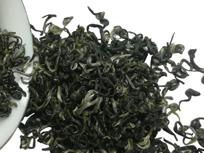 2023春茶散装绿茶都匀毛尖卷毛尖茶叶批发可做包装图4