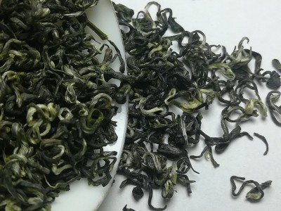 2023春茶散装绿茶都匀毛尖卷毛尖茶叶批发可做包装图2