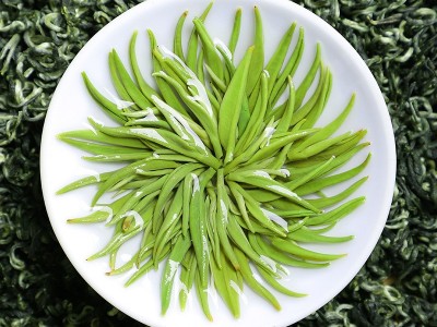 聚天禾新茶明前碧螺春炒青绿茶500g罐装批发浓香茶叶散装一件代发图4