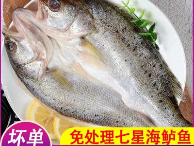 海鲈鱼开背新鲜活冷冻深海鱼清蒸去内脏纸包鱼烤鱼半成品商用图3