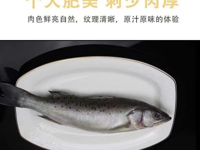 海鲈鱼开背新鲜活冷冻深海鱼清蒸去内脏纸包鱼烤鱼半成品商用图4