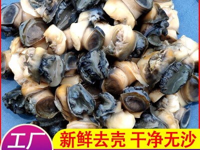 【量大可谈价】田螺肉新鲜冷冻超大号螺丝肉去壳洗净无沙螺蛳肉图2