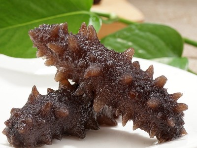 参参堂品牌厂家批发代发大连海参即食礼盒装鲜活辽参刺参500g孕妇图4