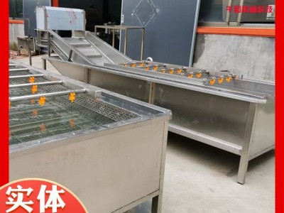 豆芽气泡清洗机设备 全自动番茄蔬菜气泡清洗机设备 豆角清洗机图4