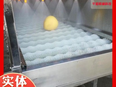 豆芽气泡清洗机设备 全自动番茄蔬菜气泡清洗机设备 豆角清洗机图5