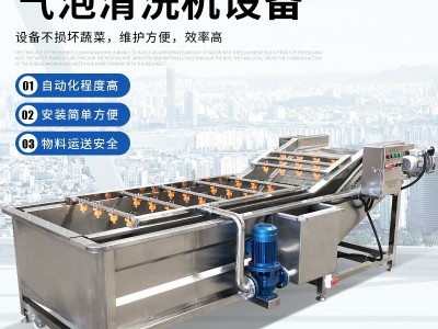 果蔬清洗机 商用气泡喷淋清洗机 预制菜净菜加工流水线洗菜机图2