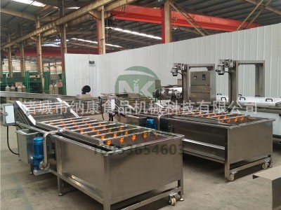 果蔬清洗机 商用气泡喷淋清洗机 预制菜净菜加工流水线洗菜机图5