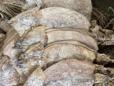 鱿鱼干批发 水发鱿鱼 ok 鱿鱼干 朝鲜族鱿鱼图2