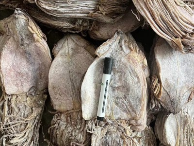 鱿鱼干批发 水发鱿鱼 ok 鱿鱼干 朝鲜族鱿鱼图3