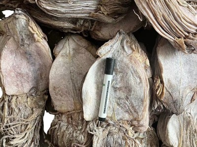 鱿鱼干批发 水发鱿鱼 ok 鱿鱼干 朝鲜族鱿鱼图5