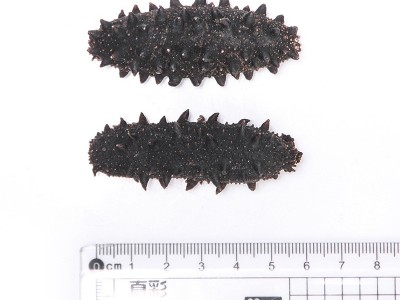 辽鼎记源头工厂大连纯淡干海参干货过节海参礼盒货源稳定一件代发图5