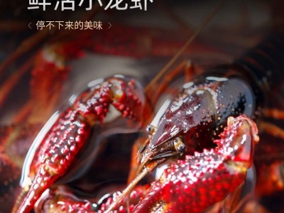 小龙虾活体小龙虾子大虾鲜活新鲜清水虾尾微山湖小青虾特大号虾图2