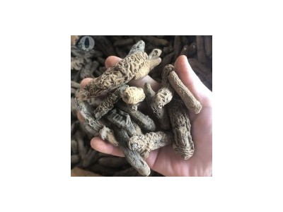 小茄参海茄子参地瓜参批发淡黄皮参70头9.8成干 水发干货海参批发图5