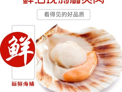 扇贝肉鲜活现剥大扇贝肉 港口海鲜 鲜货速冻带黄扇贝肉新鲜冷冻图2