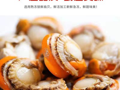 扇贝肉鲜活现剥大扇贝肉 港口海鲜 鲜货速冻带黄扇贝肉新鲜冷冻图3