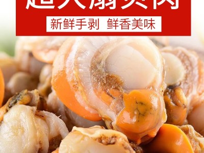 扇贝肉鲜活现剥大扇贝肉 港口海鲜 鲜货速冻带黄扇贝肉新鲜冷冻图5