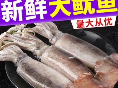 大鱿鱼 整只 冷冻香辣鱿鱼须海鲜大章鱼足深海鱿鱼头八爪鱼鲜活水图4