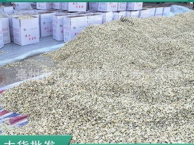 黄山贡菊2021新货白菊花茶新花散装大货不熏硫非七月菊现货图2