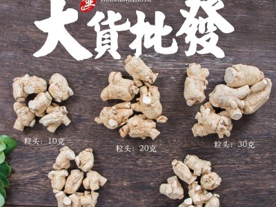 东北长白山西洋参粒头个条段切片西洋参批发软质各种规格大货投料图4