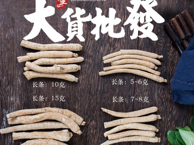 东北长白山西洋参粒头个条段切片西洋参批发软质各种规格大货投料图3
