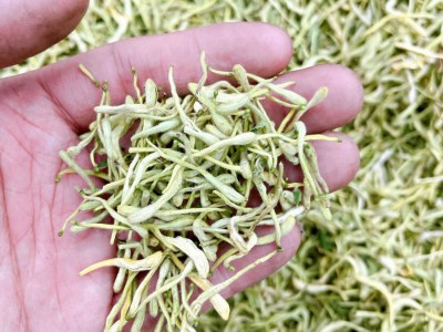 金银花带绒毛河南金银花 花茶散装批发 山银花 草茶 河南封丘茶叶图2