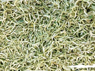 金银花带绒毛河南金银花 花茶散装批发 山银花 草茶 河南封丘茶叶图3
