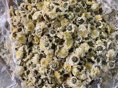 菊花 让每一位客户都成为回头客 祥云一家回购率高的店铺图4