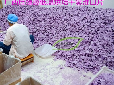 产地直销 品质好 干度足 品相好【紫山药干片】桂绿源淮山工厂/图图2