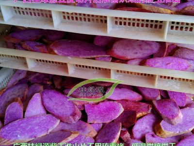 批发紫玉淮山片【紫山药片】桂绿源淮山工厂低温烘焙脱水干蔬菜图图3